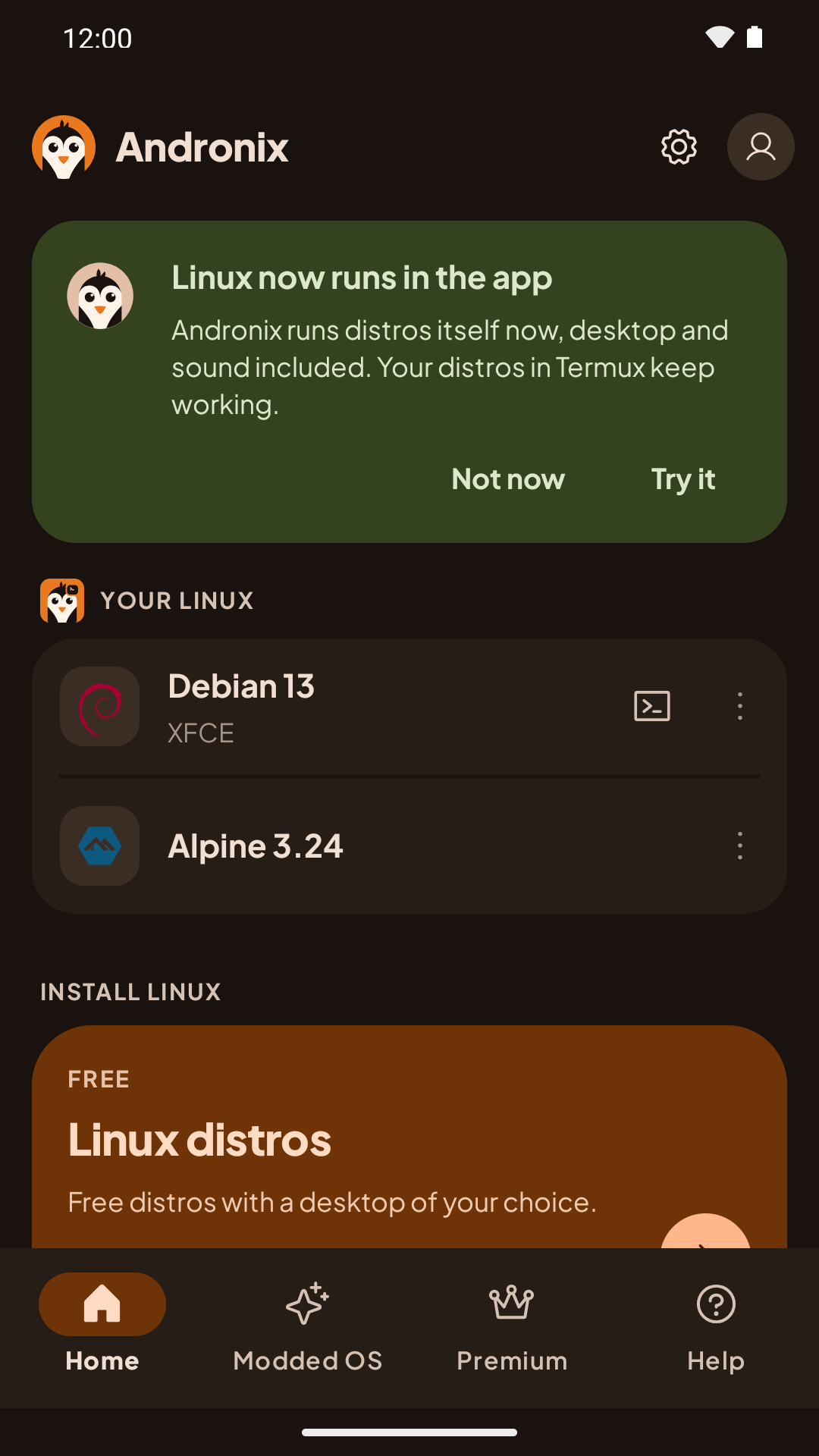Home: the Linux now runs in the app card, with Not now and Try it